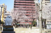 池袋