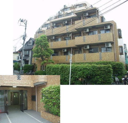 東京都足立区東和１丁目 賃貸マンション 1R