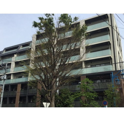 東京都渋谷区西原１丁目 賃貸マンション 1DK