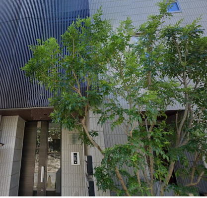 東京 マンション 1LDK